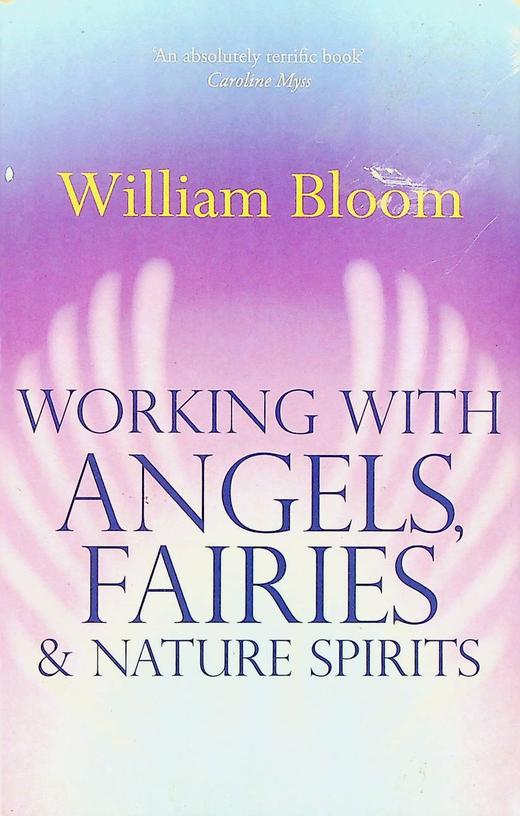 BLOOM, WILLIAM - Working with angels, fairies & nature spirits